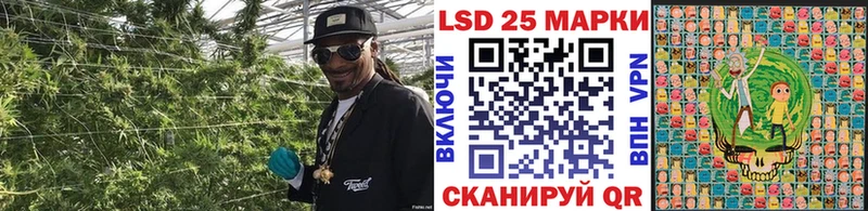где найти наркотики  Надым  Наркотические марки 1,5мг 