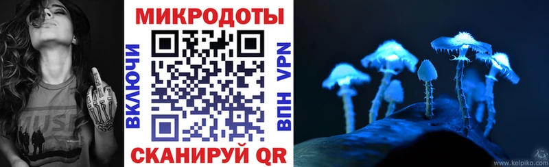 Галлюциногенные грибы Cubensis  даркнет сайт  Надым 
